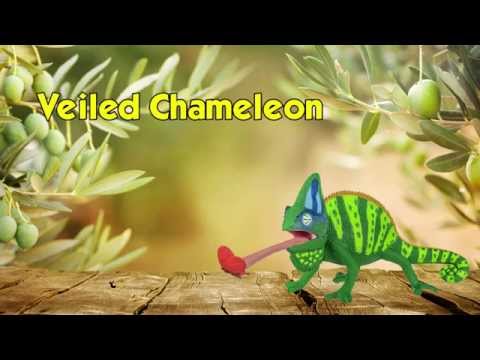 Veiled Chameleon Toy