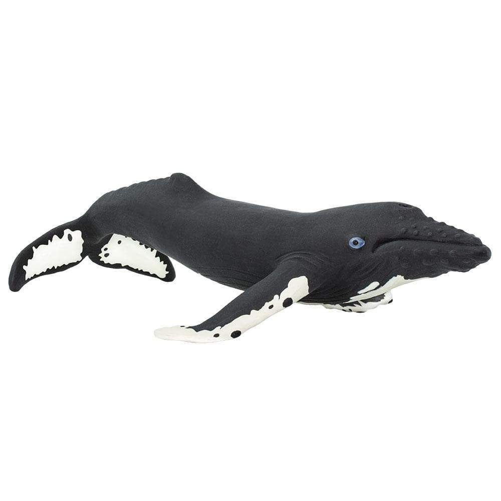 Humpback whale hot sale plush