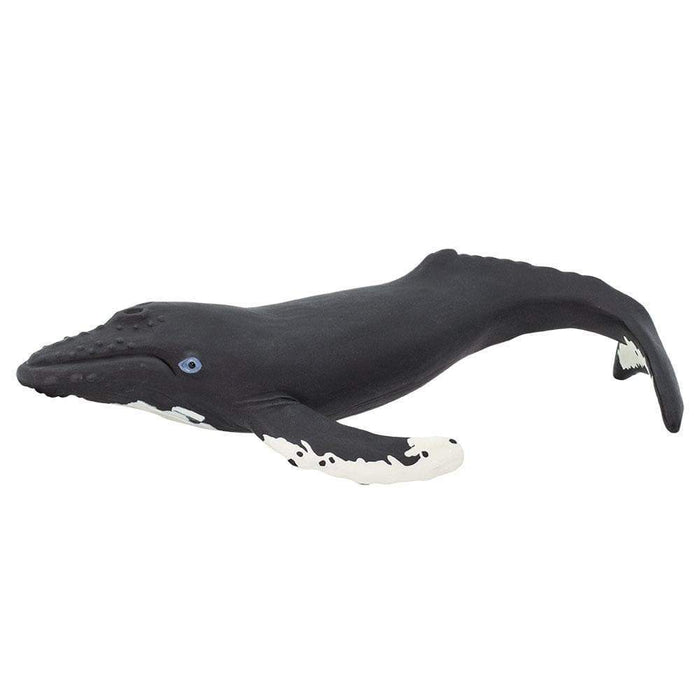 humpback whale stuffed animal