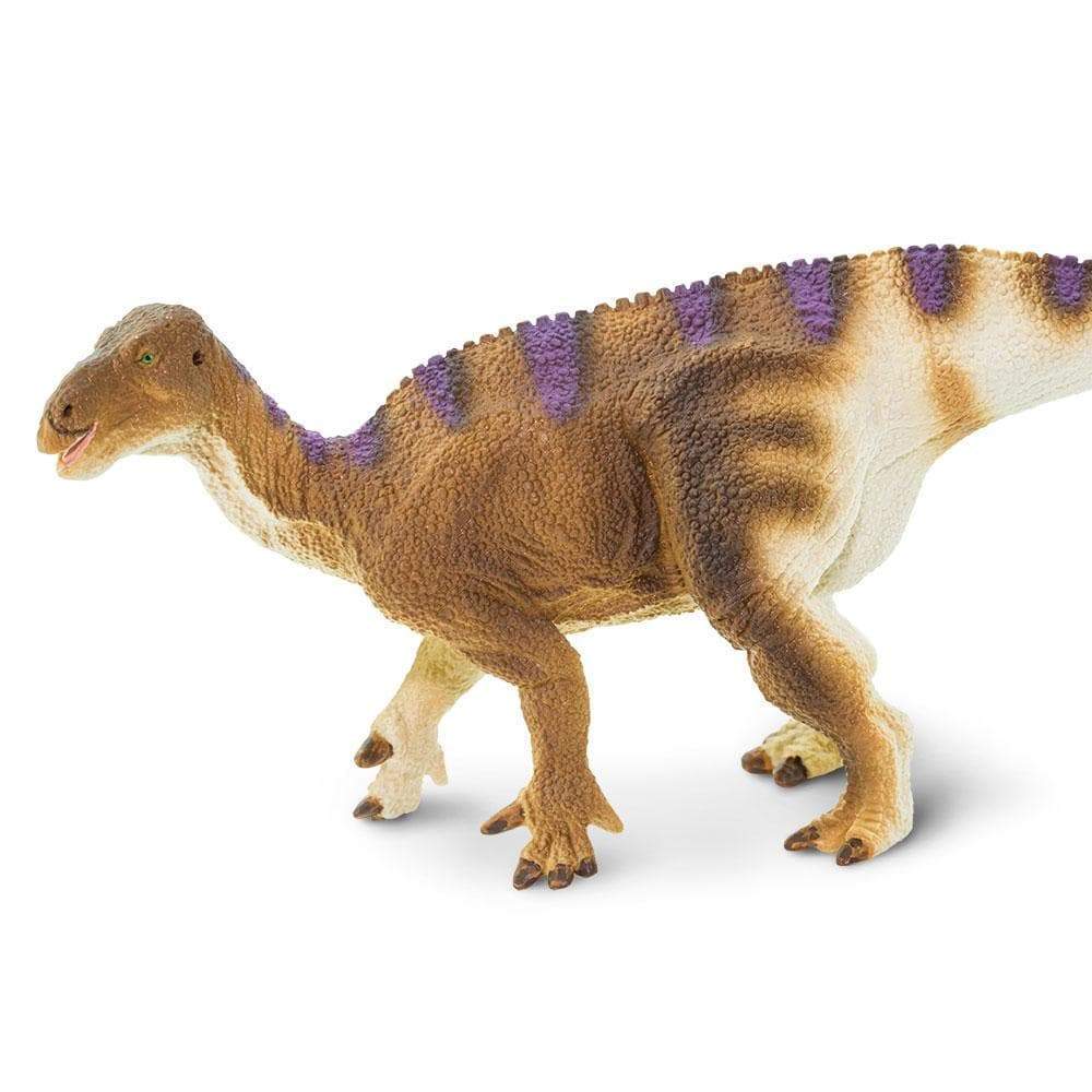 Iguanodon Toy | Dinosaur Toys | Safari Ltd.