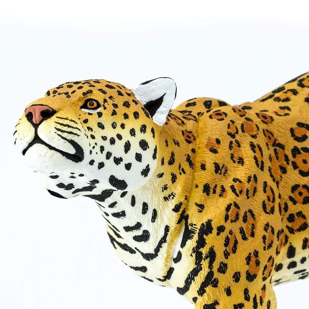 Jaguar Toy | Wildlife Animal Toys | Safari Ltd.