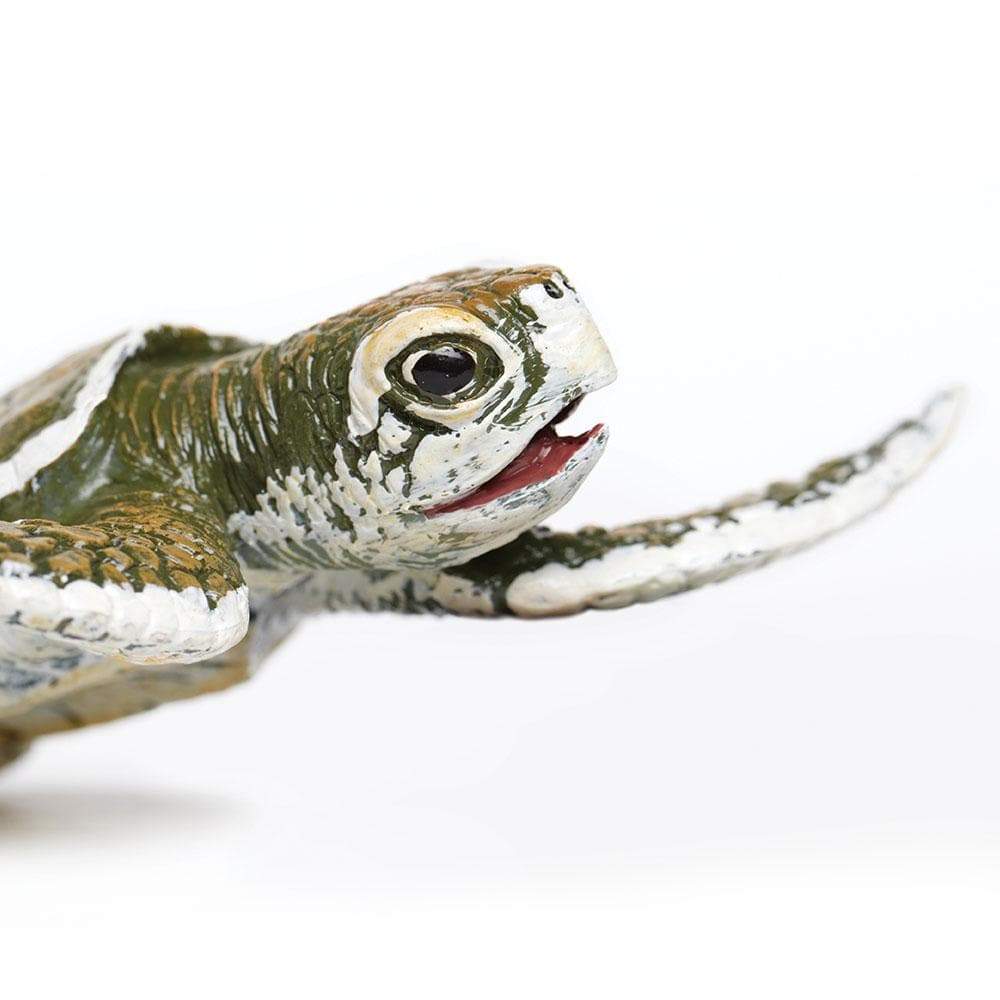 Kemp's Ridley Sea Turtle Baby - Safari Ltd®