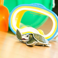 Kemp's Ridley Sea Turtle Baby - Safari Ltd®