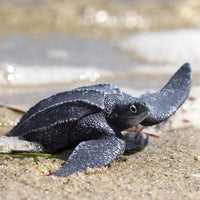 Leatherback Sea Turtle Toy - Sea Life Toys by Safari Ltd.