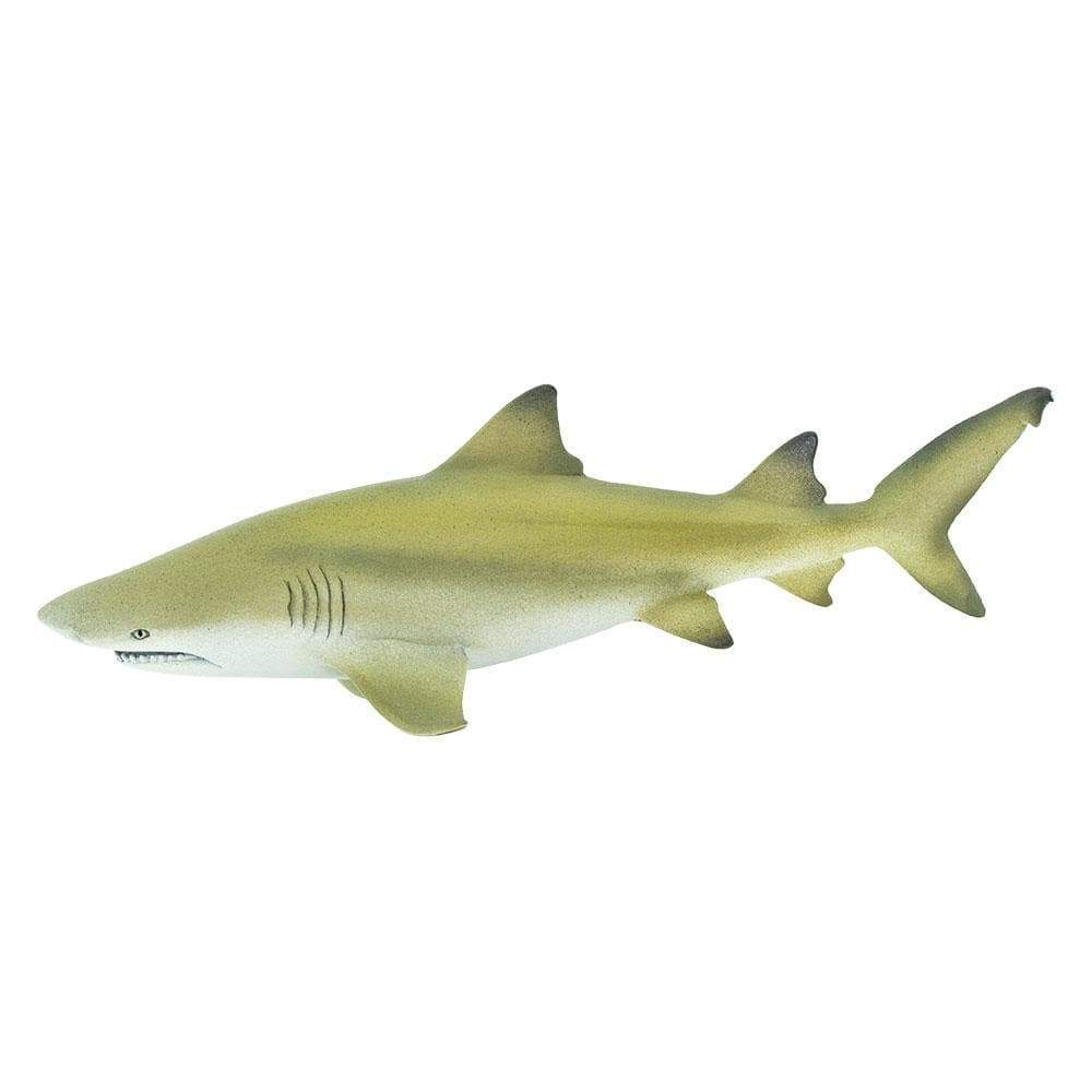 Lemon Shark Toy - Sea Life Toys by Safari Ltd.