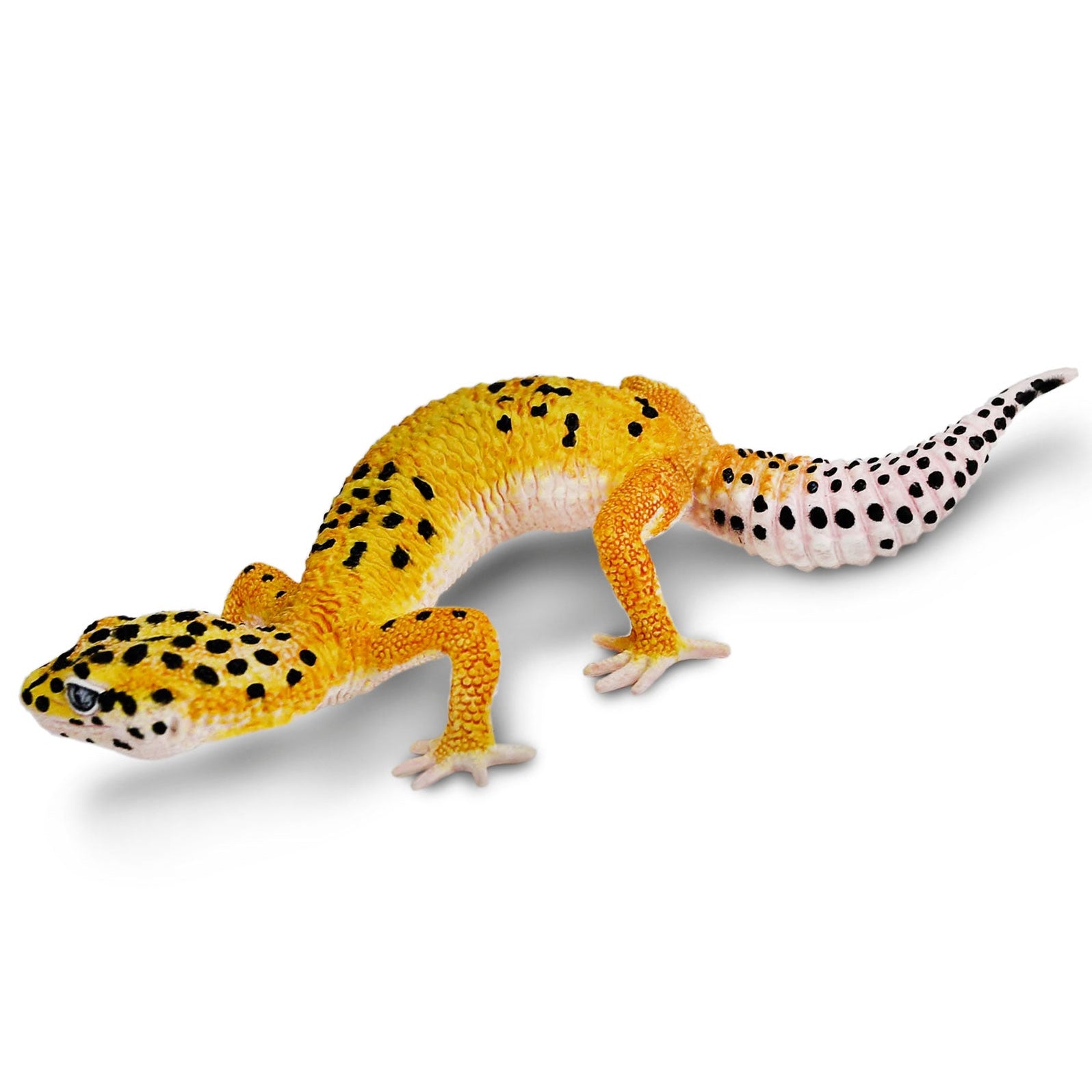 safari ltd leopard gecko