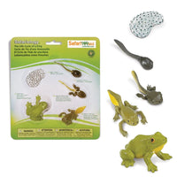 Life Cycle of a Frog - Safari Ltd®