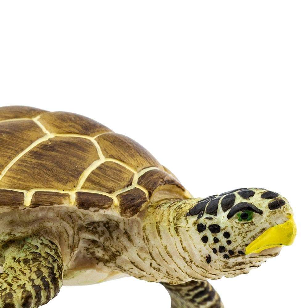 Loggerhead Turtle Toy - Sea Life Toys by Safari Ltd.