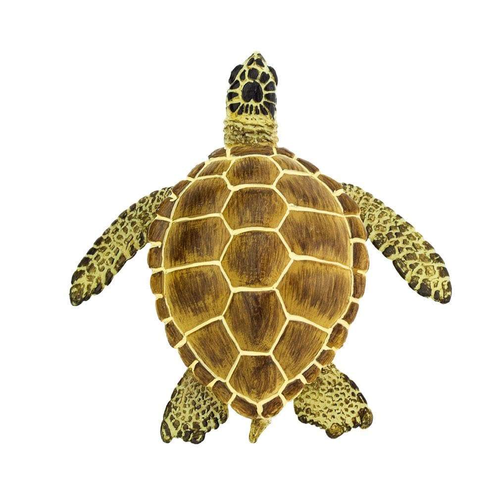 Loggerhead Turtle Toy - Sea Life Toys by Safari Ltd.