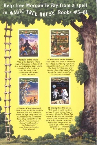 Magic Tree House Books 5-8 Box Set - Safari Ltd®