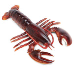 Maine Lobster Toy | Incredible Creatures | Safari Ltd®
