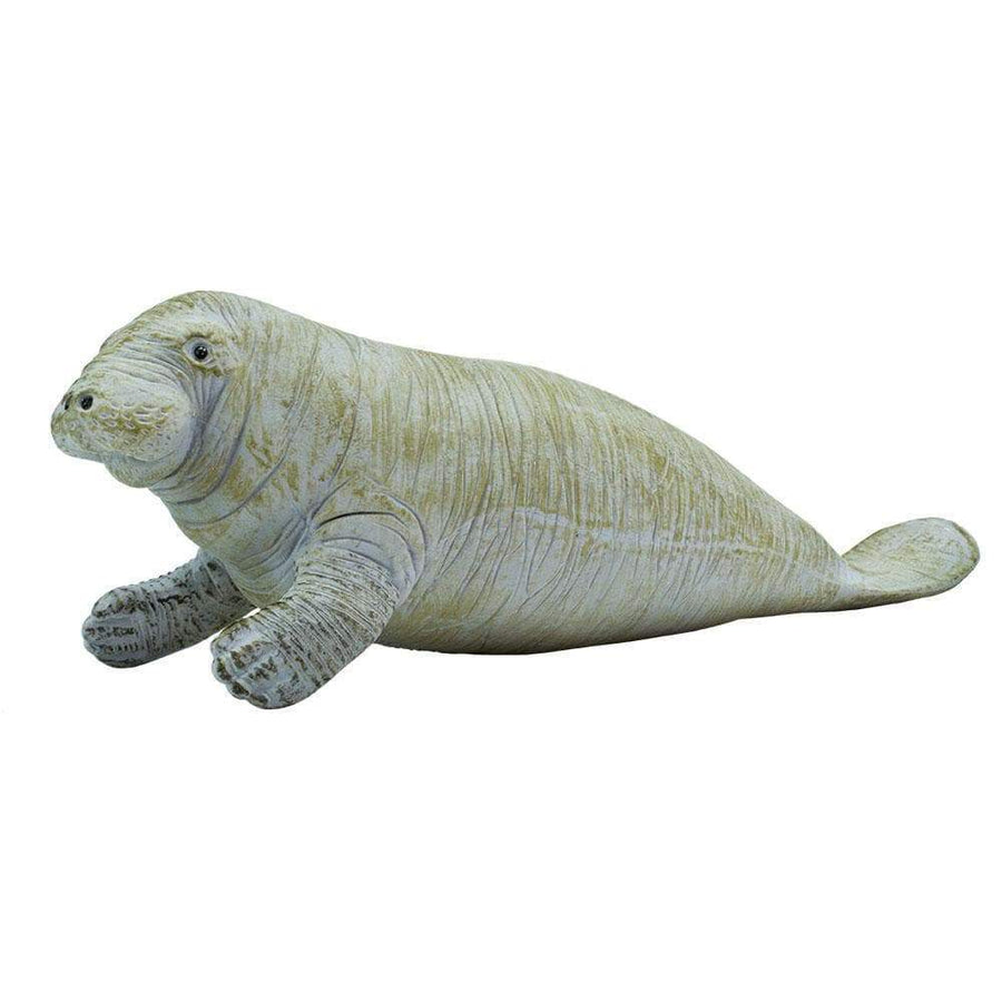 Manatee - Safari Ltd®