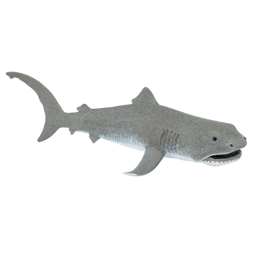 Shark Playset 1 item