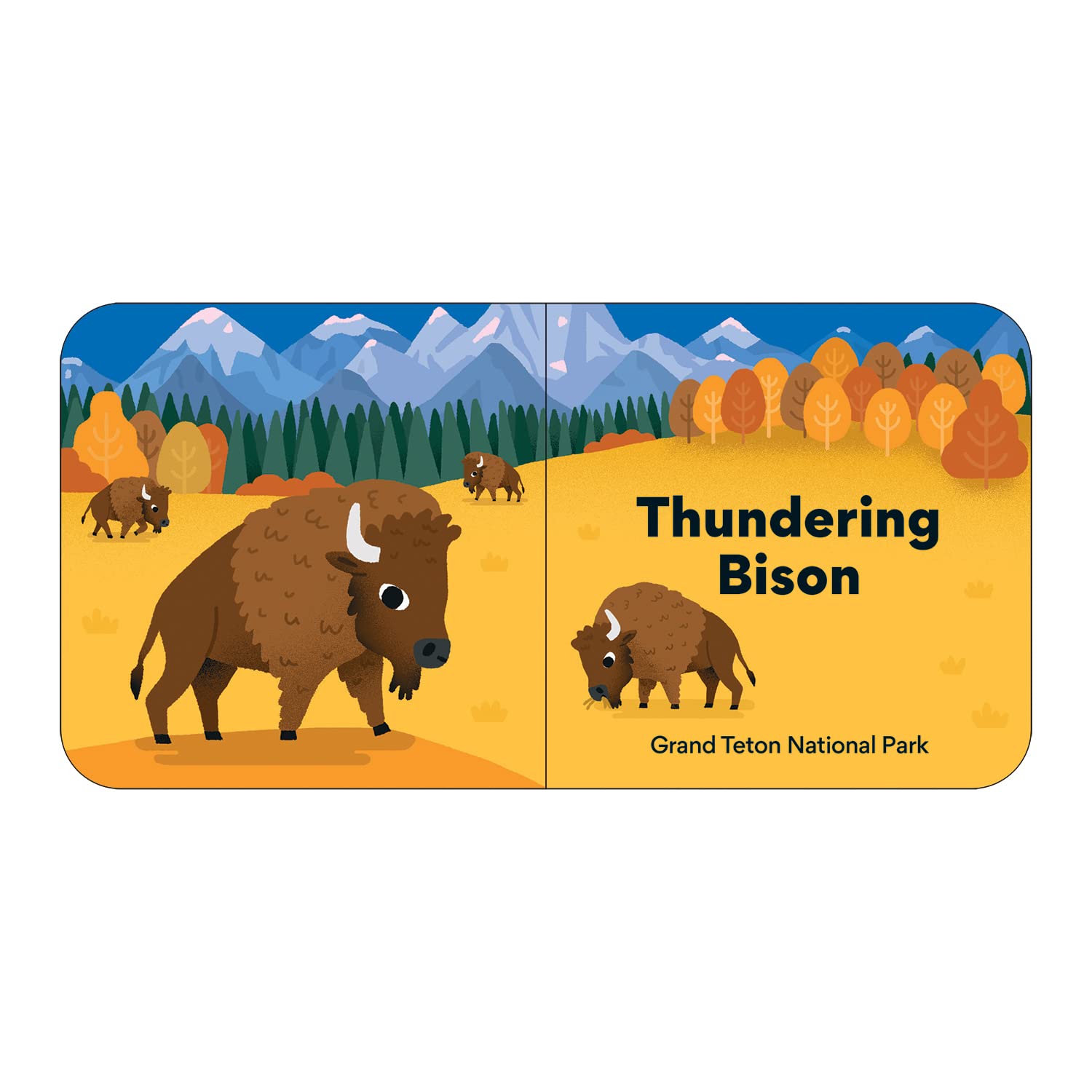 Mudpupply Little Park Ranger Board Book Set - Safari Ltd®