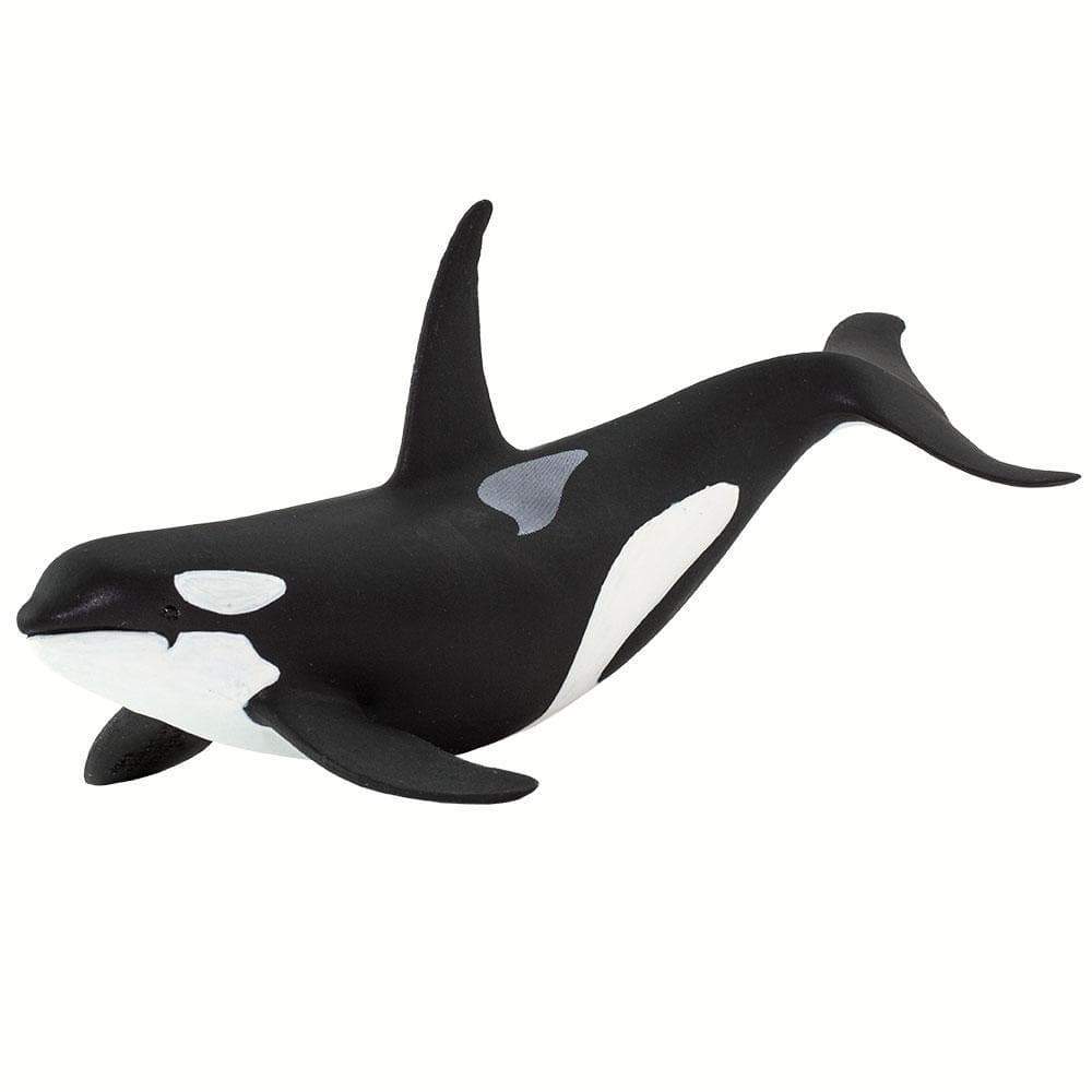 Orca Toy - Sea Life Toys by Safari Ltd.