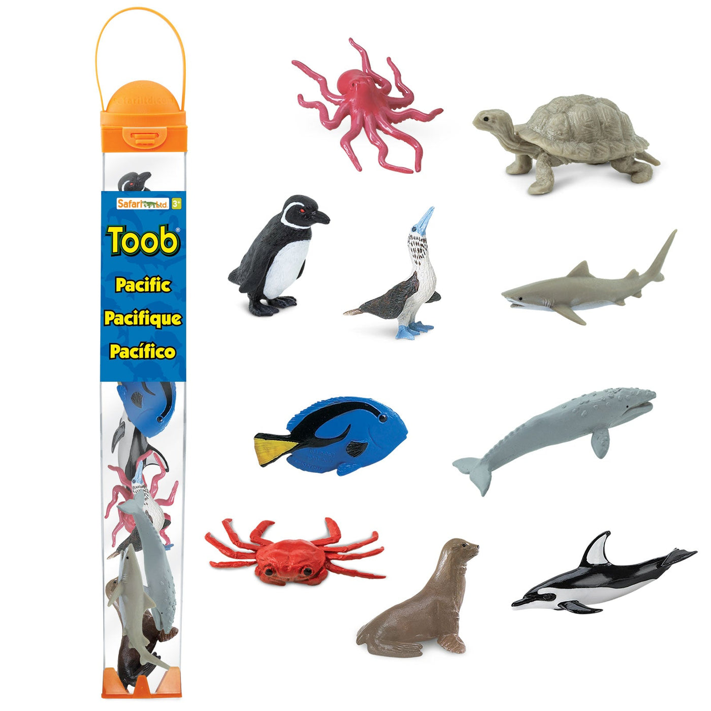 Pacific TOOB® | TOOBS® - Mini Toys | Safari Ltd®