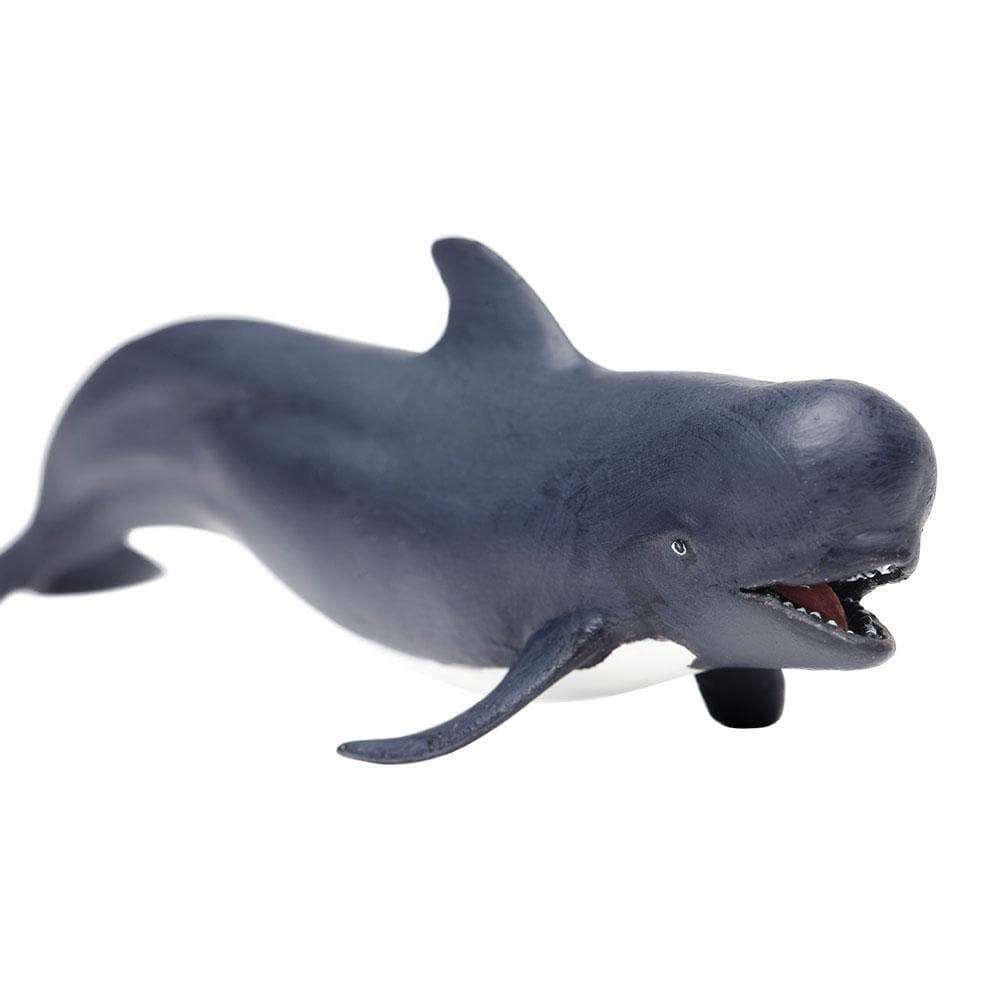 Pilot Whale Toy - Sea Life Toys by Safari Ltd.