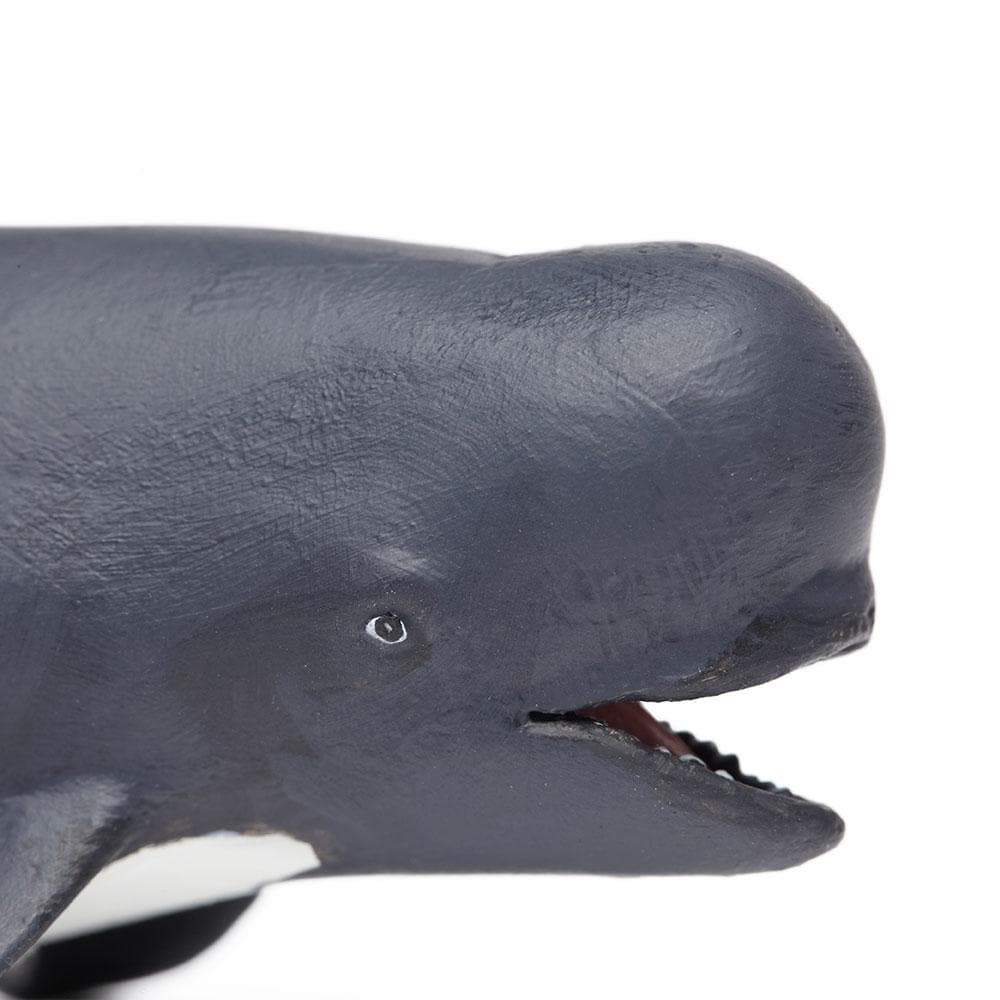 Pilot Whale Toy - Sea Life Toys by Safari Ltd.