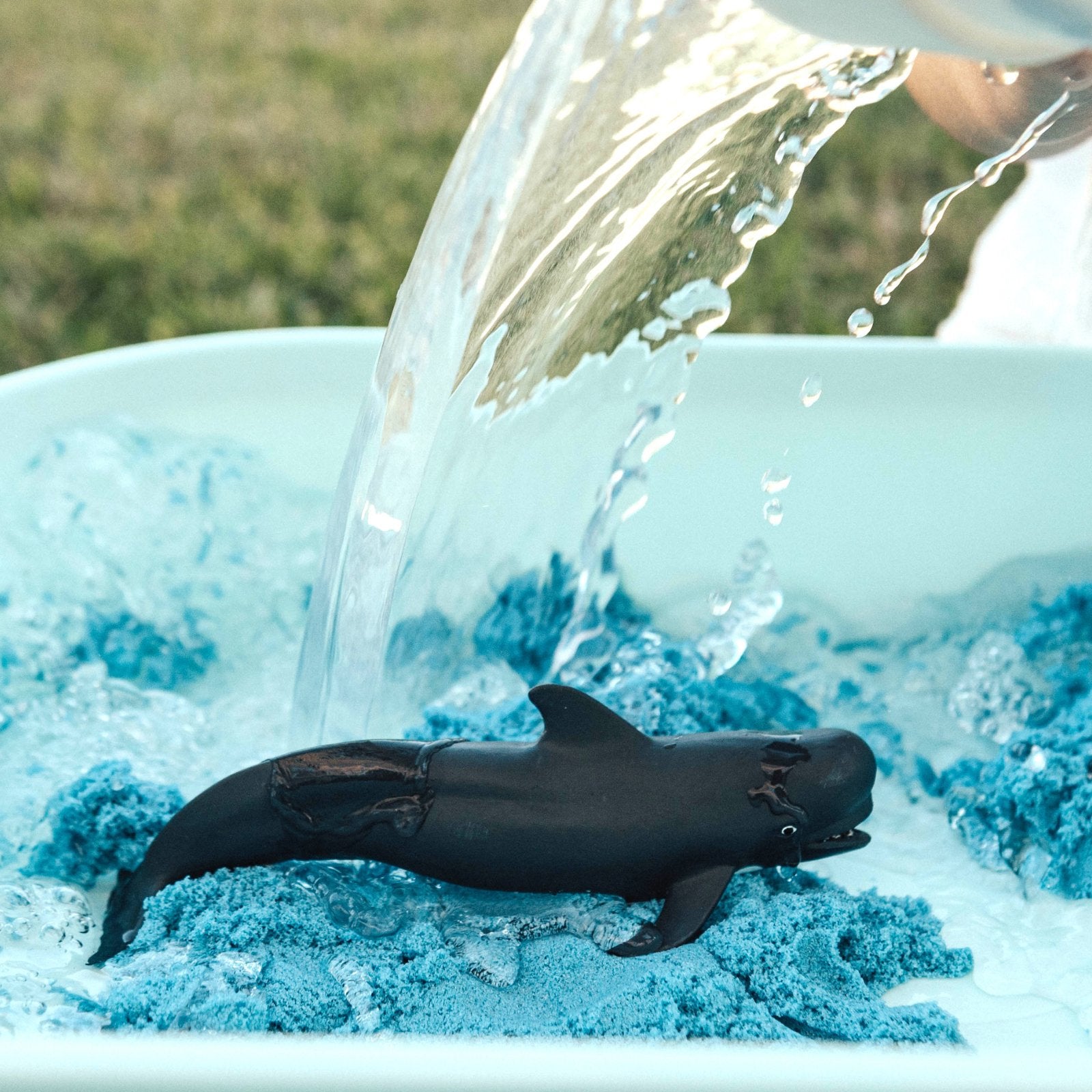 Pilot Whale Toy - Safari Ltd®