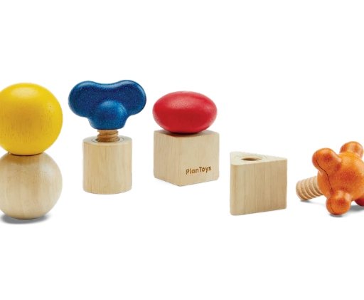 Montessori Assembling Wooden Nuts and Bolts 5 Piece -  Canada