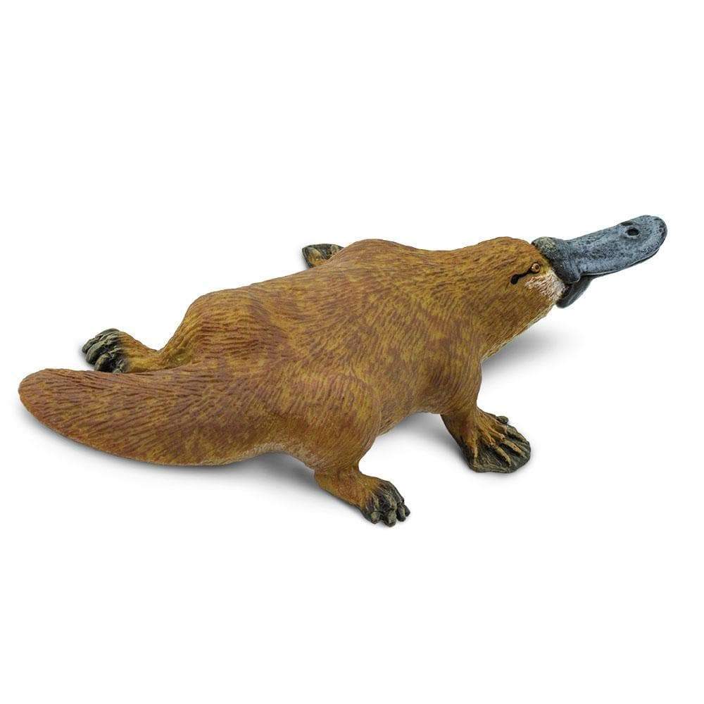 Platypus Toy | Wildlife Animal Toys | Safari Ltd.