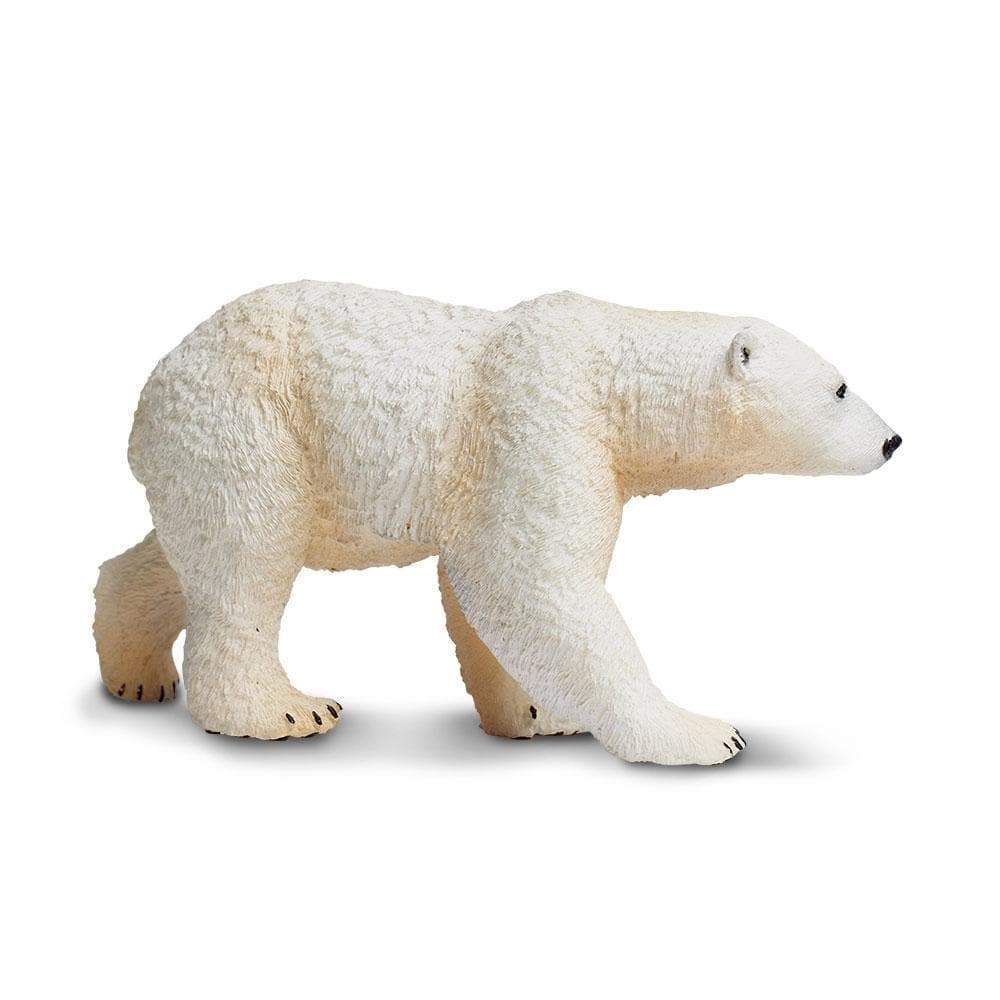 Polar Bear - Safari Ltd®