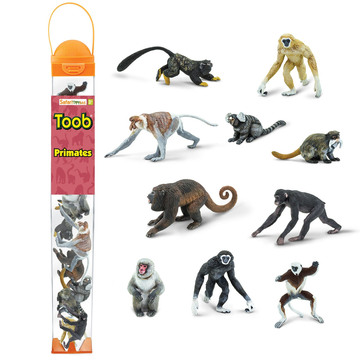 Tube - Les singes et grands singes - Figurine Safari Ltd - Ambiance