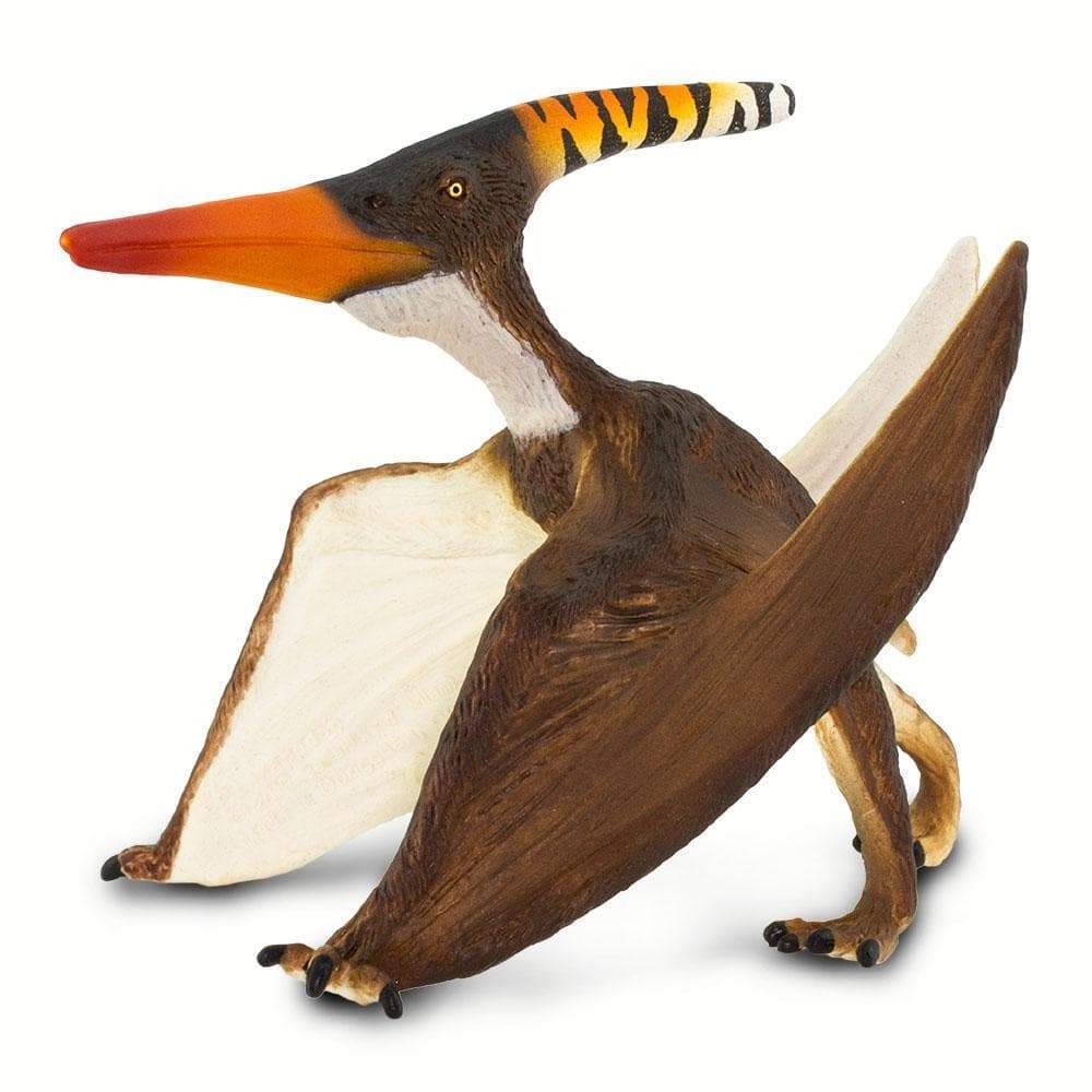 Pteranodon - Safari Ltd®