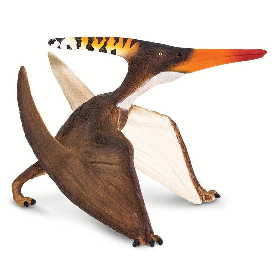 Pteranodon - Safari Ltd®