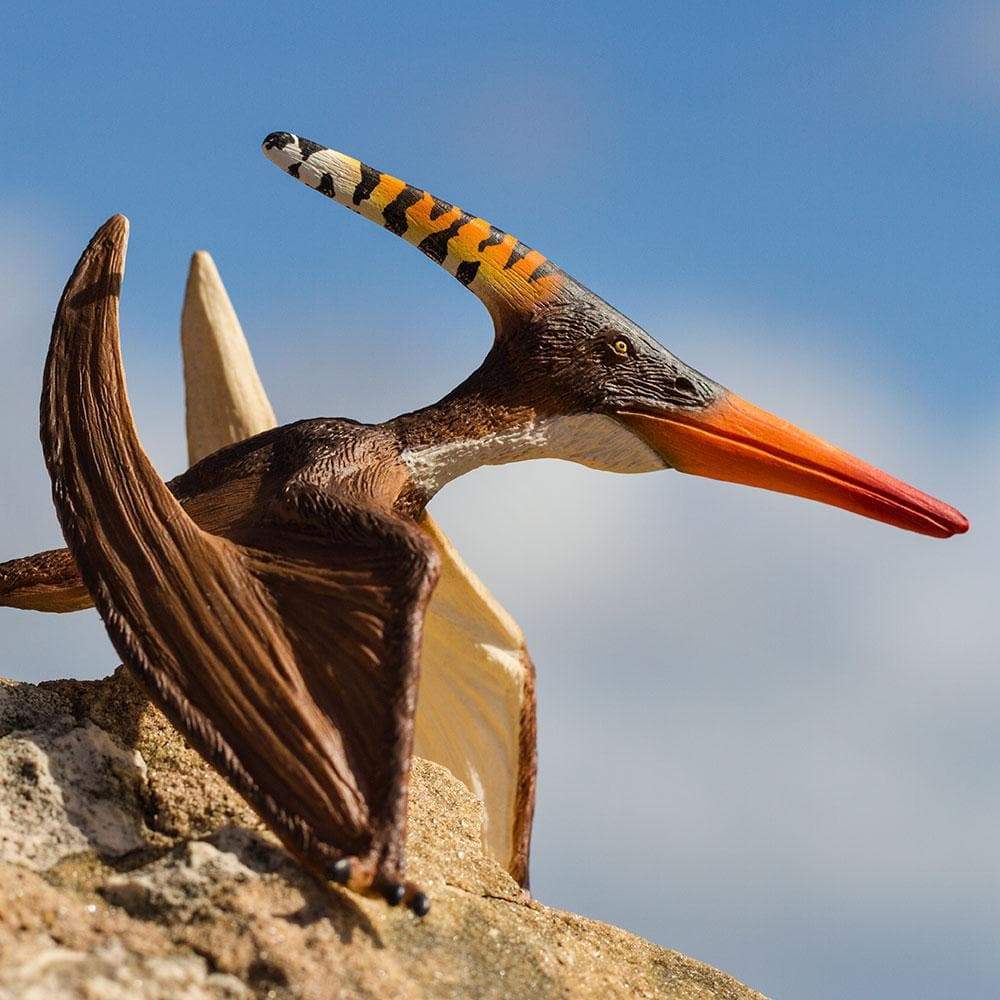 Pteranodon - Safari Ltd®