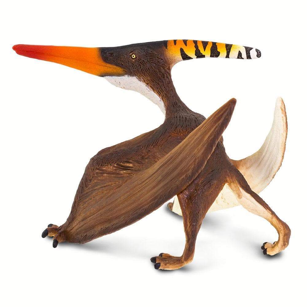 Pteranodon - Safari Ltd®