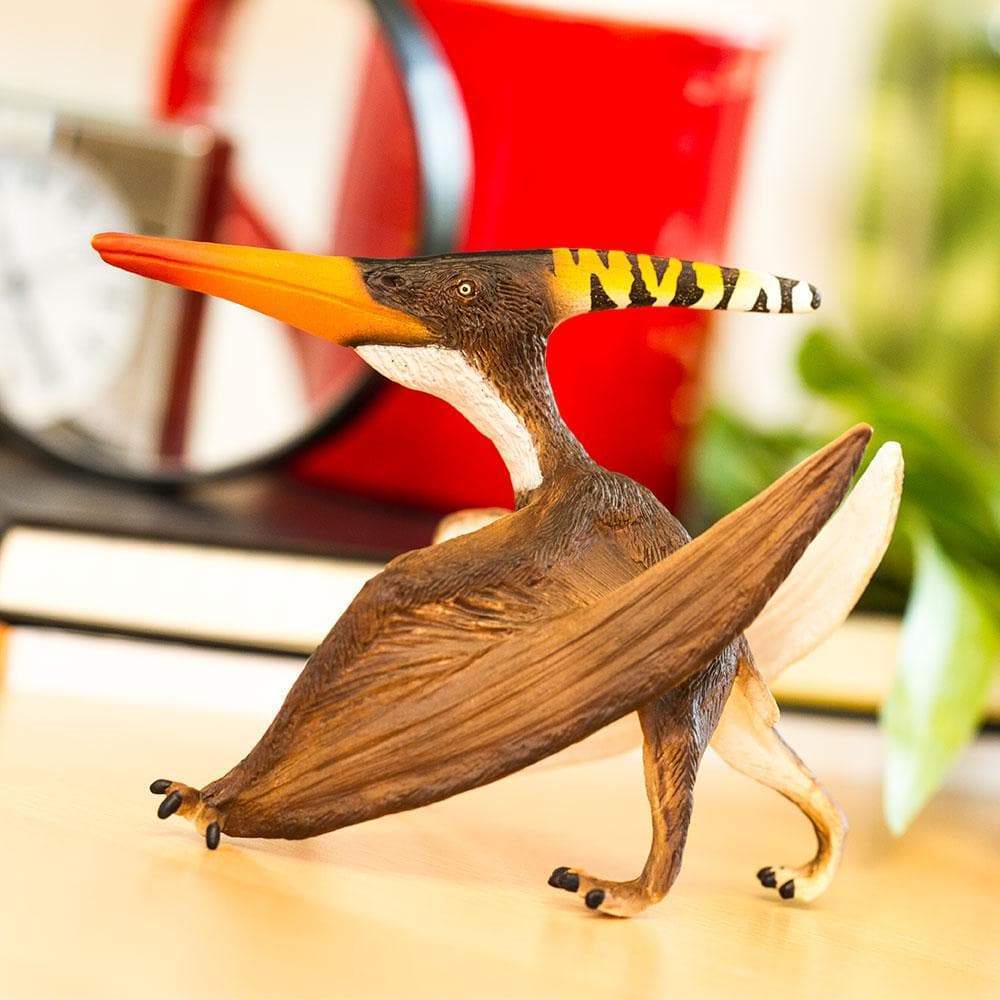 Pteranodon - Safari Ltd®