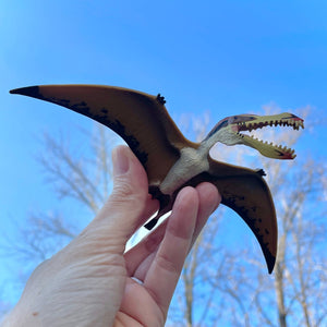 Pterosaur Toy 