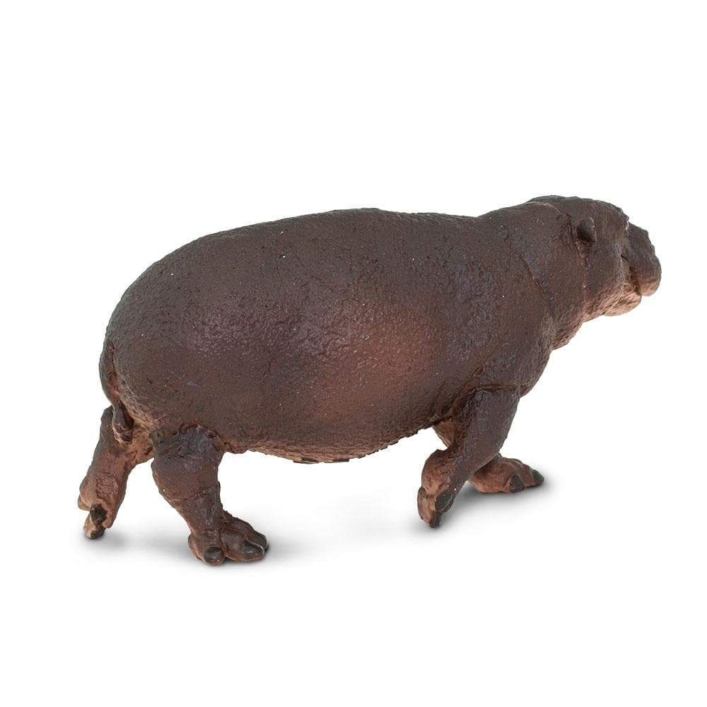 Pygmy Hippo Toy | Wildlife Animal Toys | Safari Ltd.