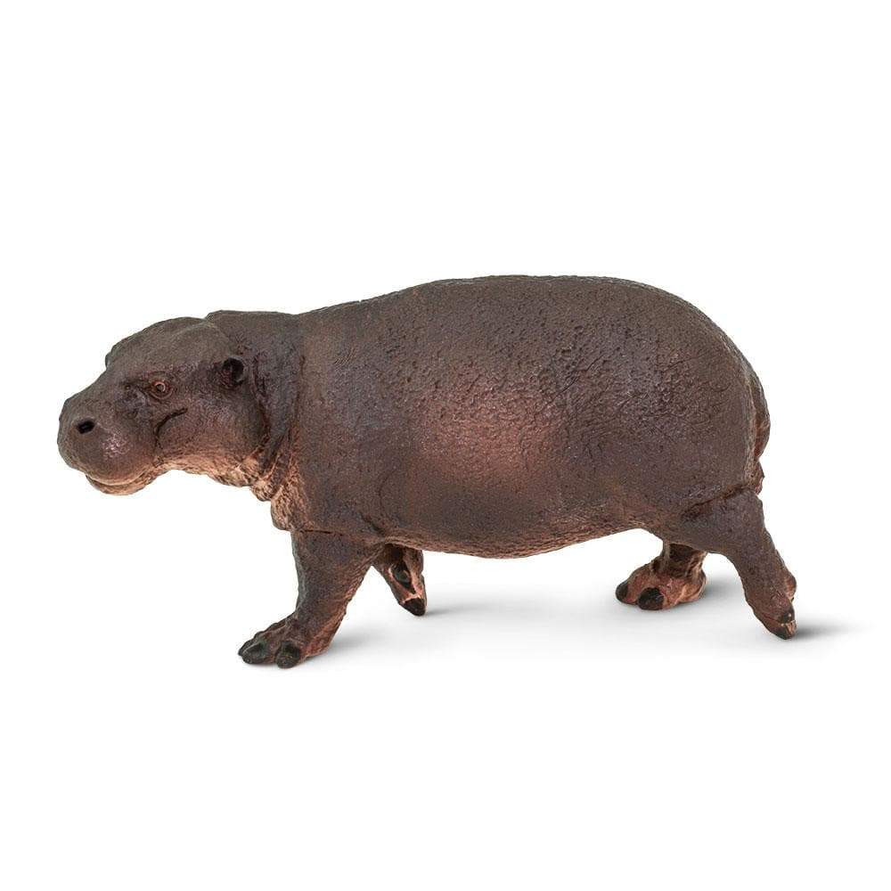 Pygmy Hippo Toy | Wildlife Animal Toys | Safari Ltd.