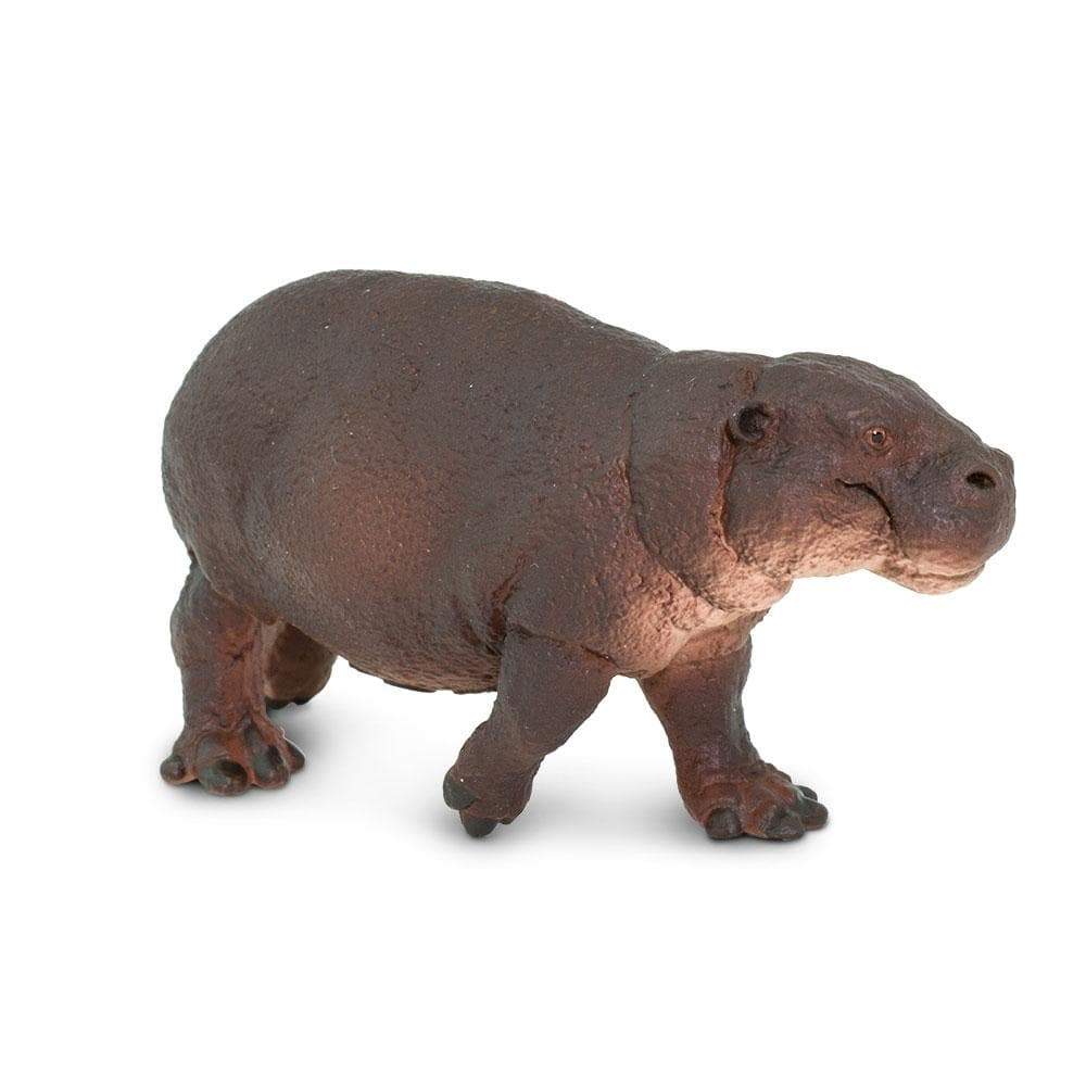 Pygmy Hippo Toy | Wildlife Animal Toys | Safari Ltd.