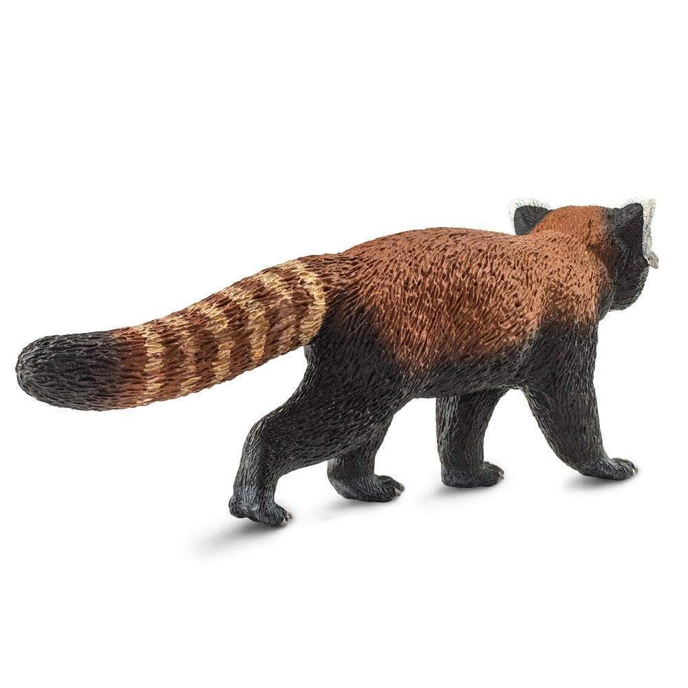 Red Panda - Safari Ltd®