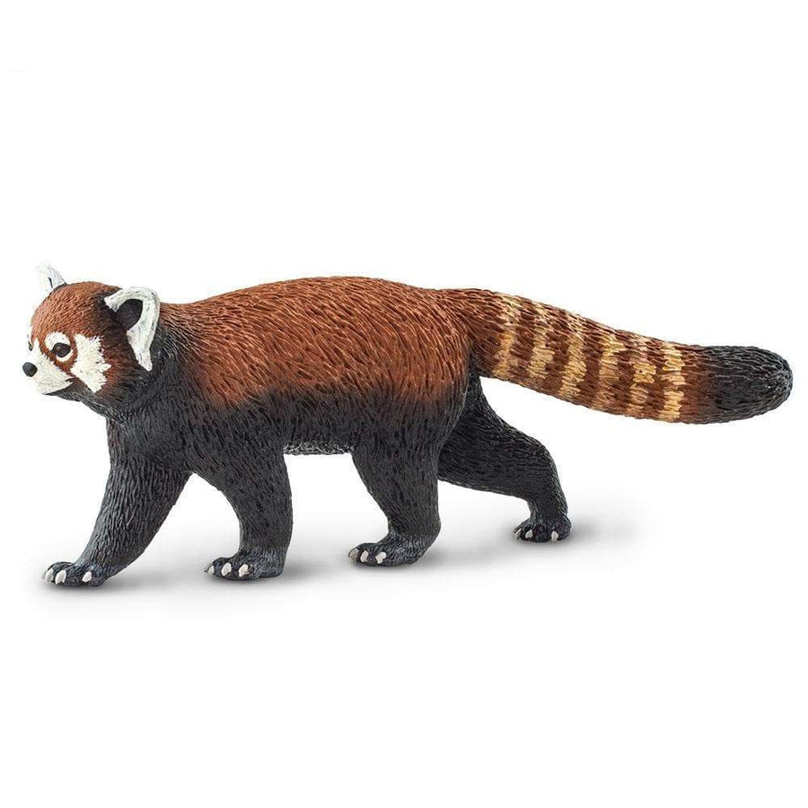 Red Panda - Safari Ltd®