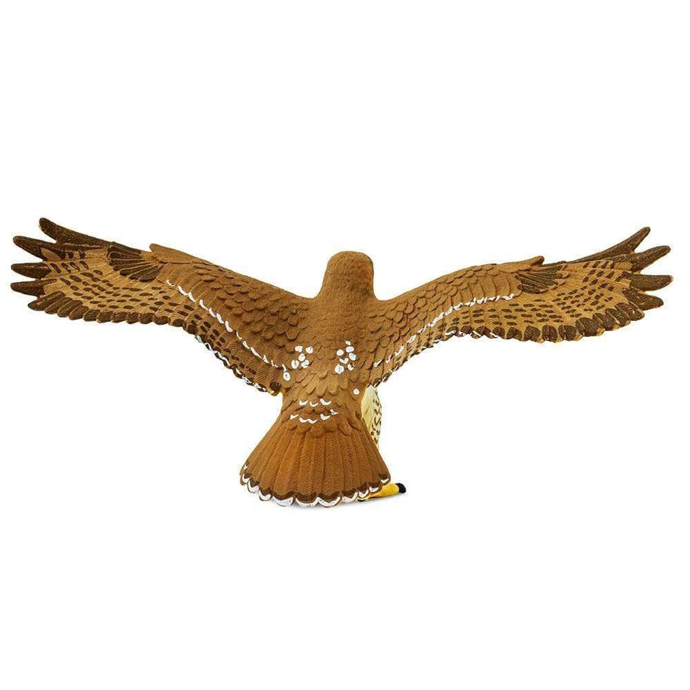 Red-Tailed Hawk Toy | Wildlife Animal Toys | Safari Ltd®