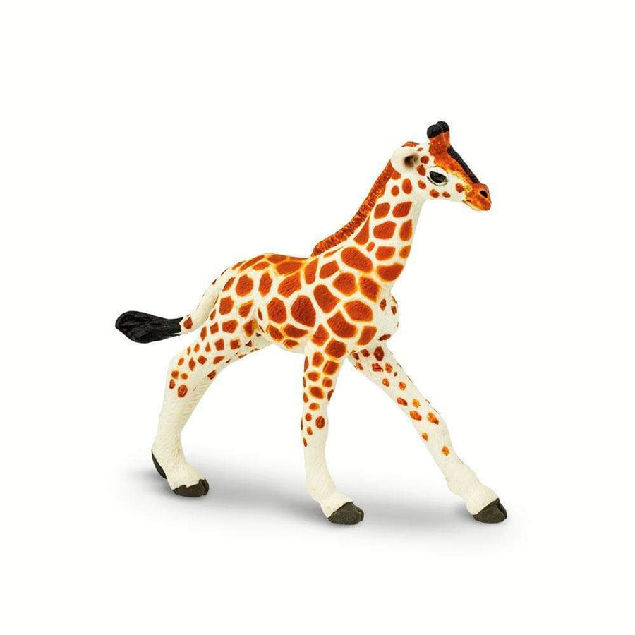 Reticulated Giraffe Baby Toy | Wildlife Animal Toys | Safari Ltd.