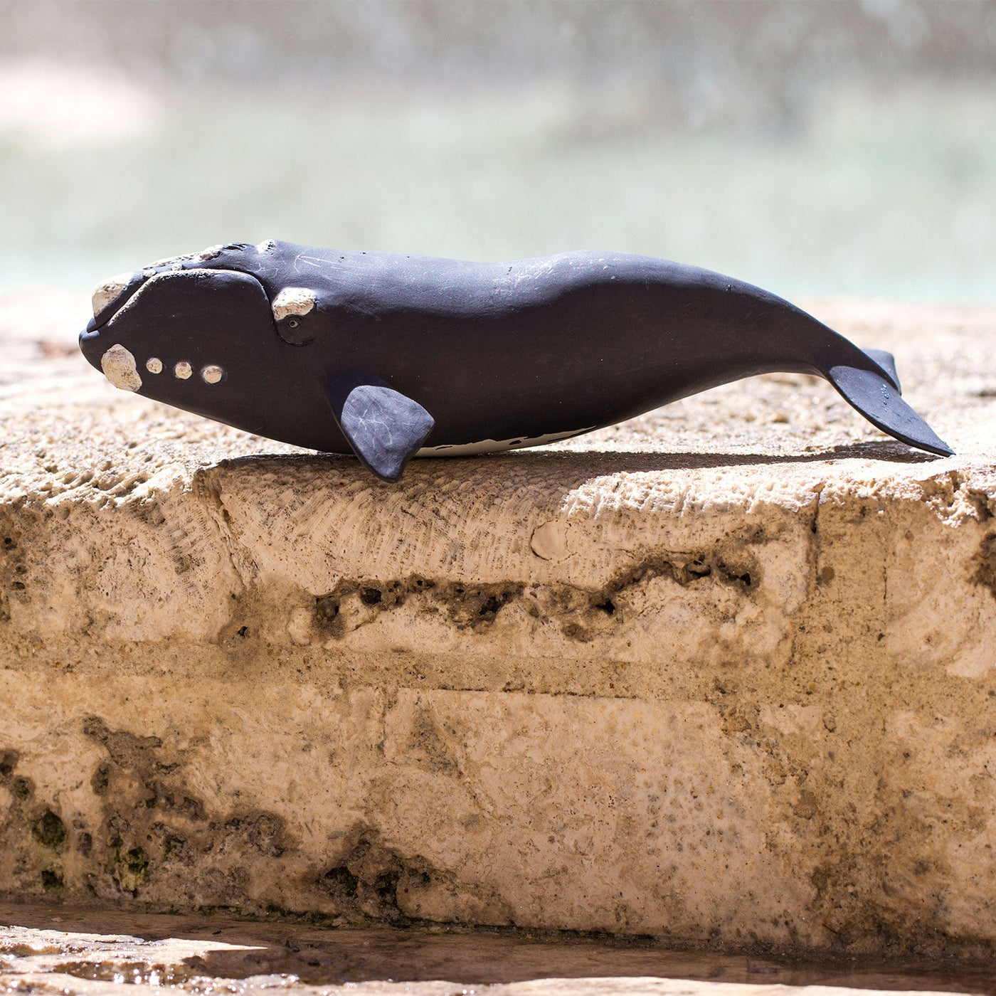 Right Whale Toy | Sea Life | Safari Ltd®