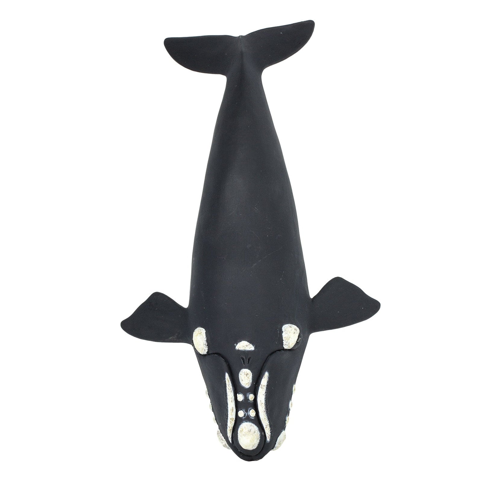 Right Whale Toy | Sea Life | Safari Ltd®