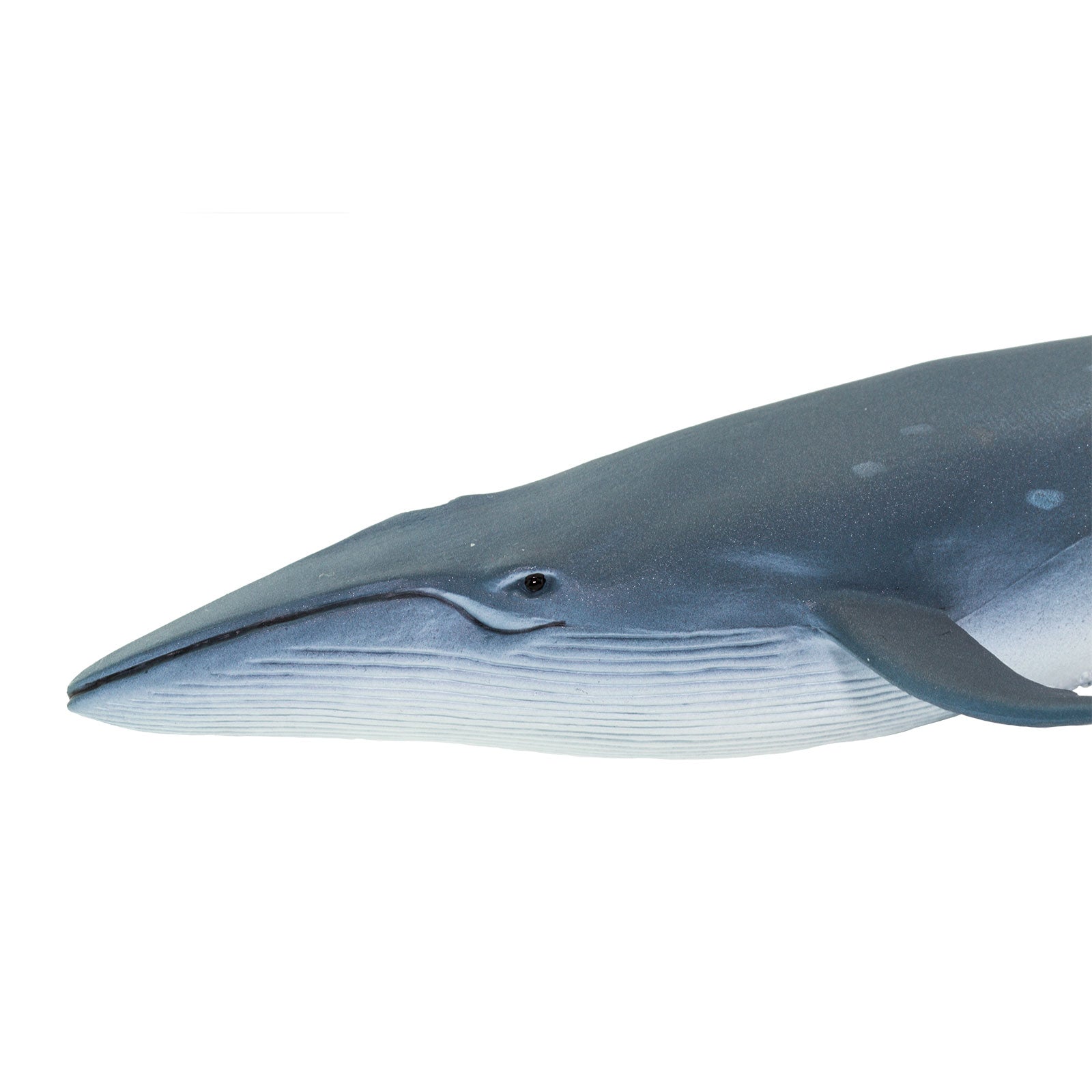 Sei Whale Toy - Safari Ltd®