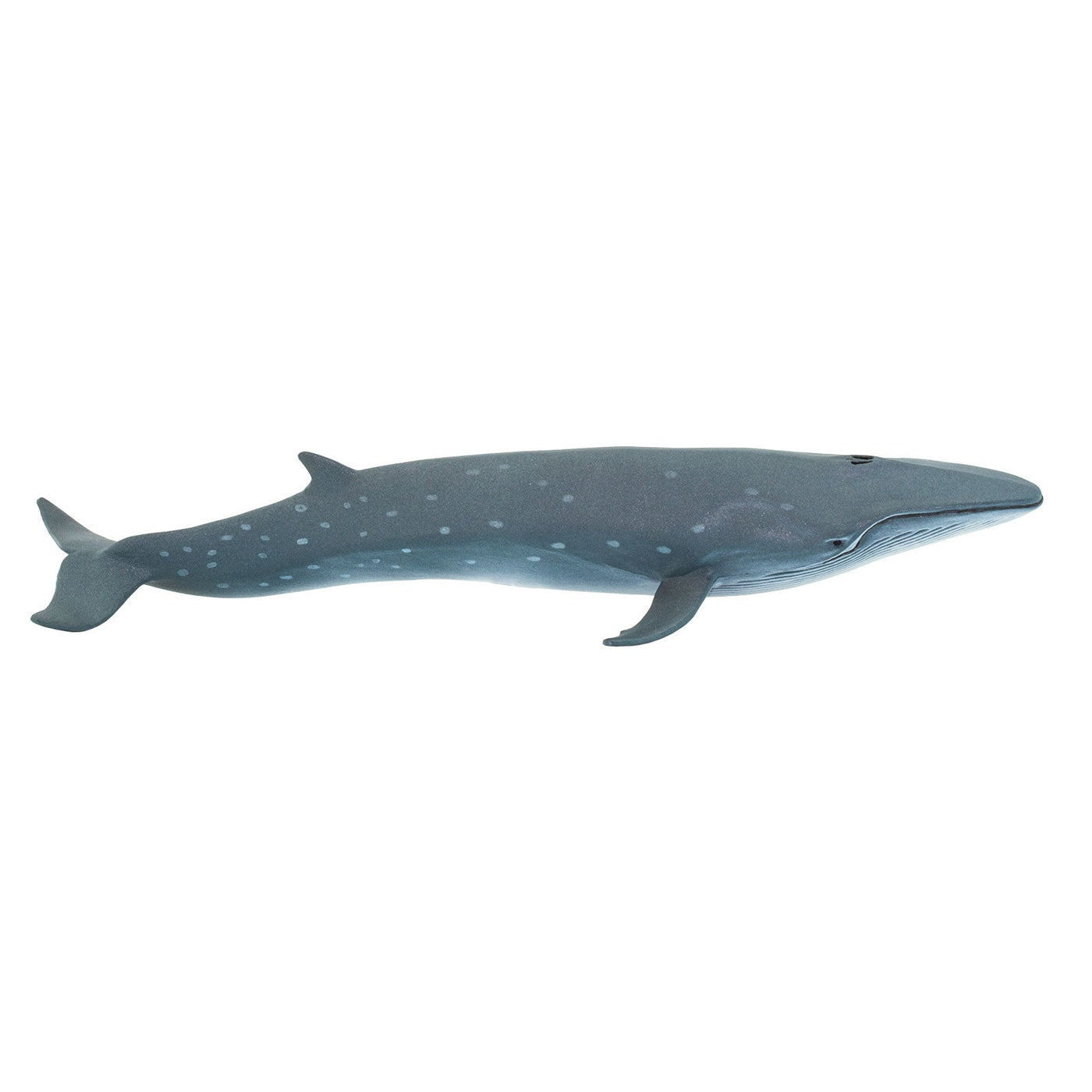 Sei Whale Toy | Sea Life | Safari Ltd®