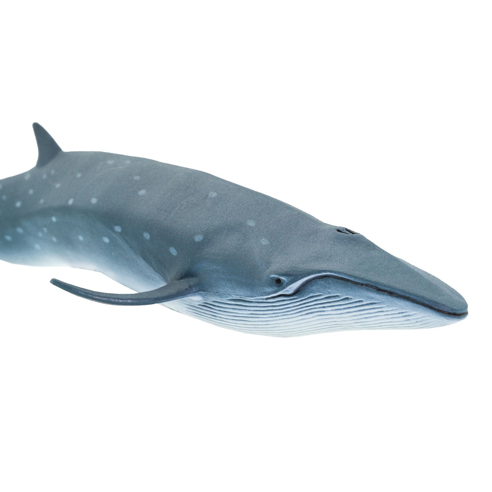 Sei Whale Toy | Sea Life | Safari Ltd®