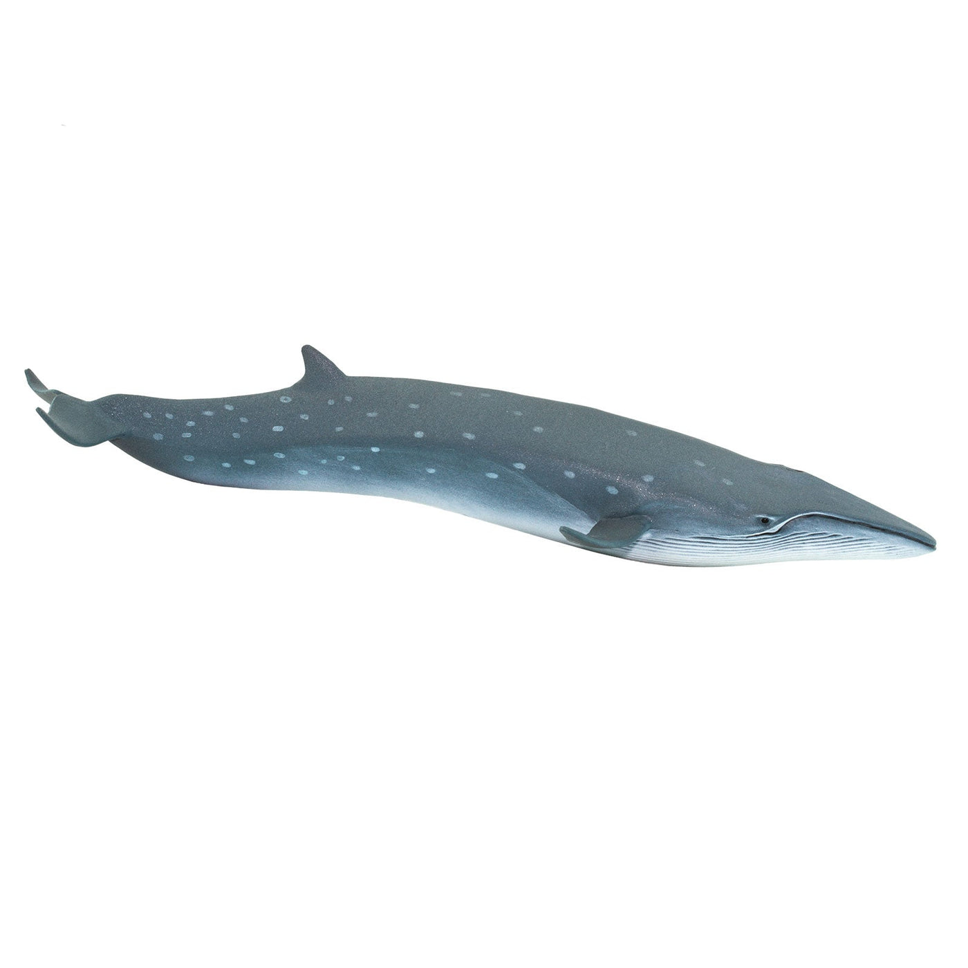 Sei Whale Toy | Sea Life | Safari Ltd®