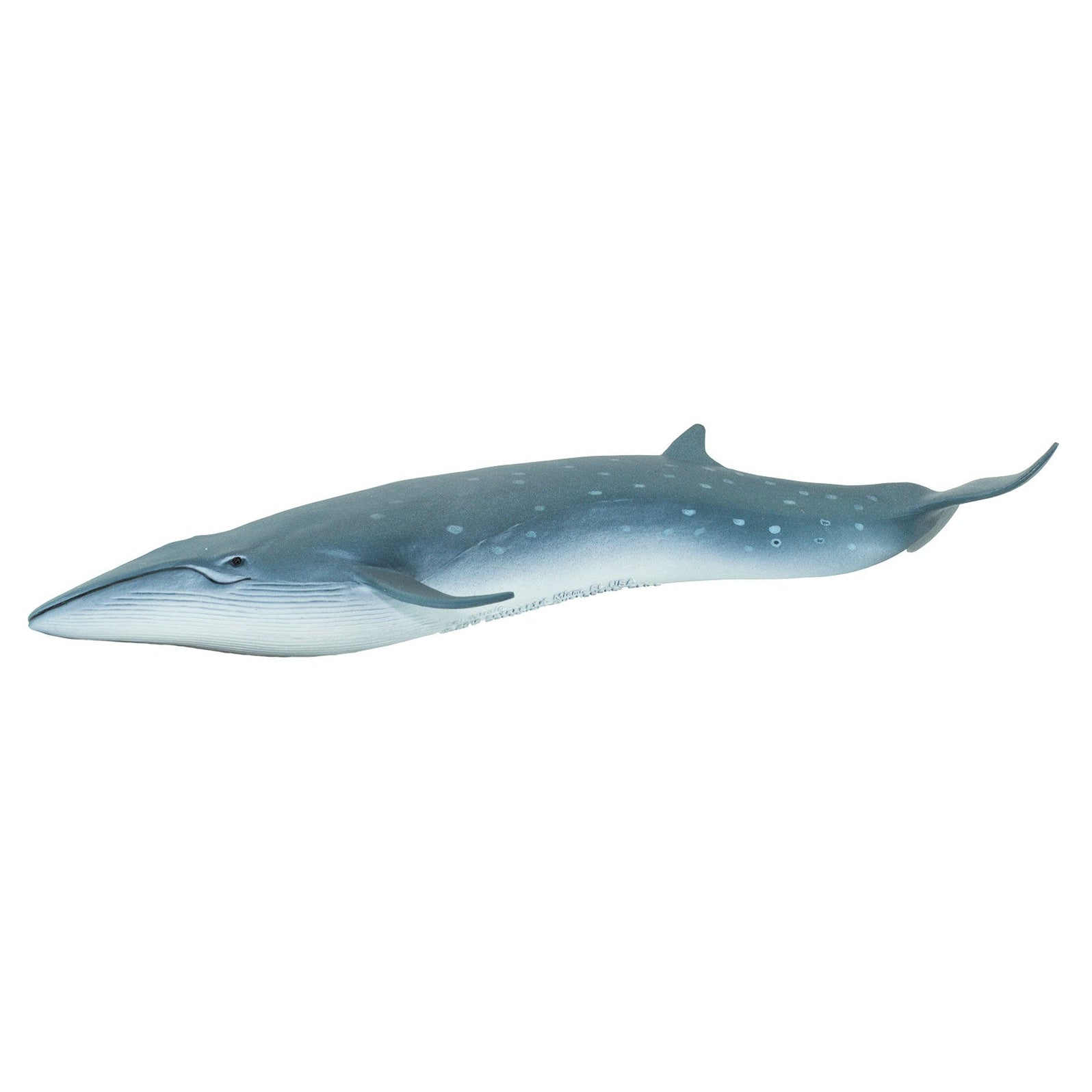 Sei Whale Toy | Sea Life | Safari Ltd®