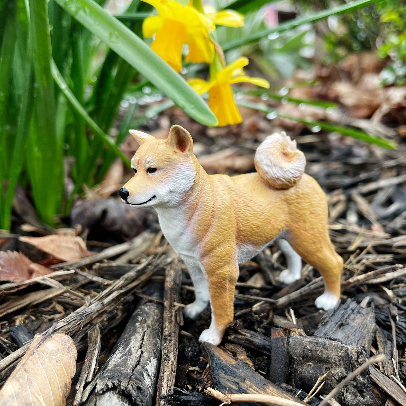 Shiba Inu Toy Dog Figure - Safari Ltd®