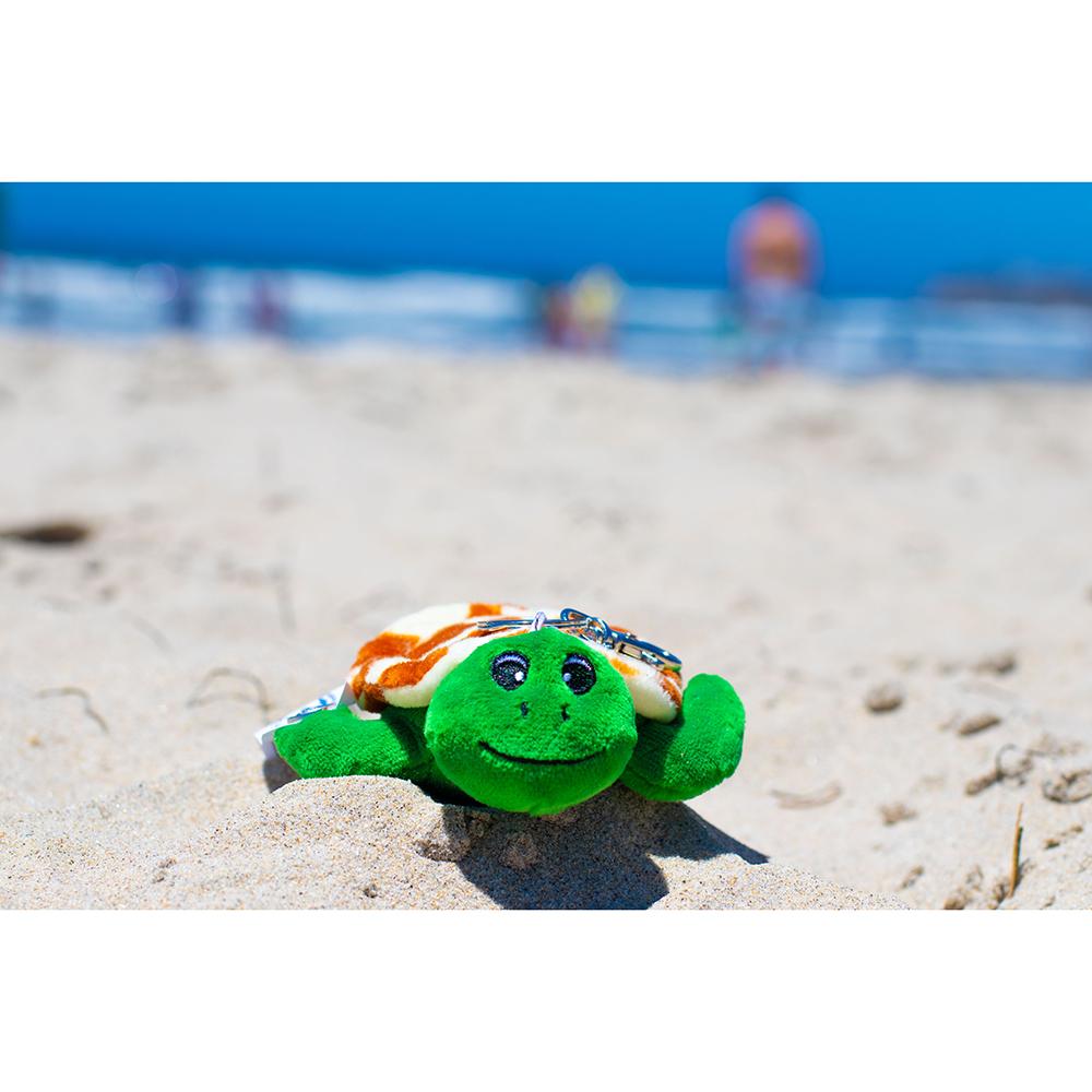 Shore Buddies Shelly the Sea Turtle Keychain - Safari Ltd®