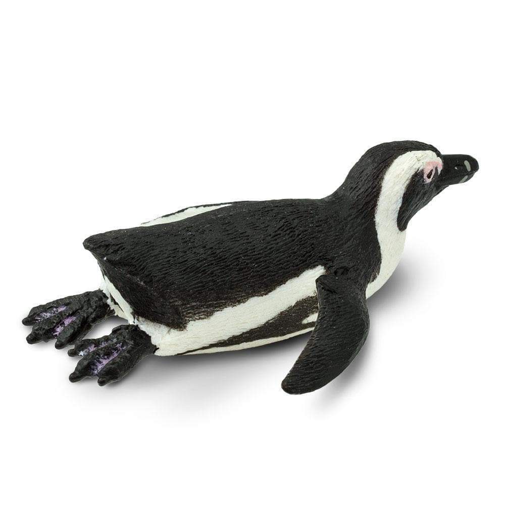 South African Penguin Toy - Sea Life Toys by Safari Ltd.